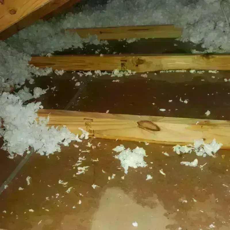 Attic Water Damage in Shelby, OH