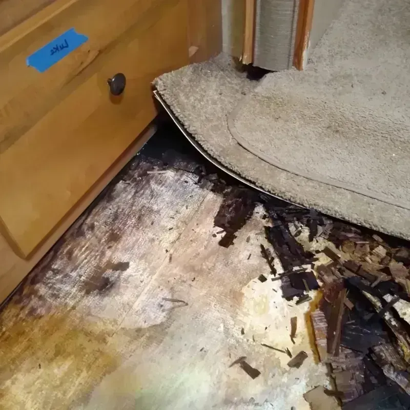 Best Wood Floor Water Damage Service in Shelby, OH